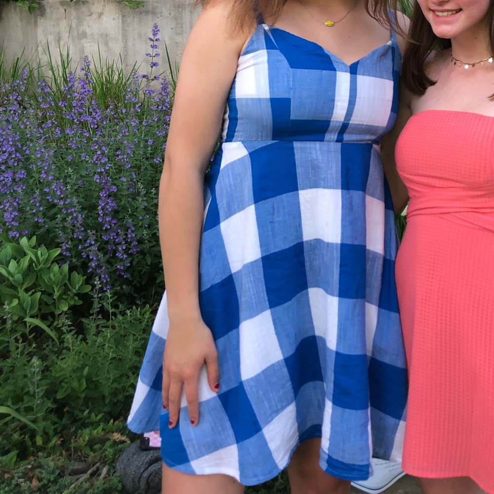 blue and white picnic dress